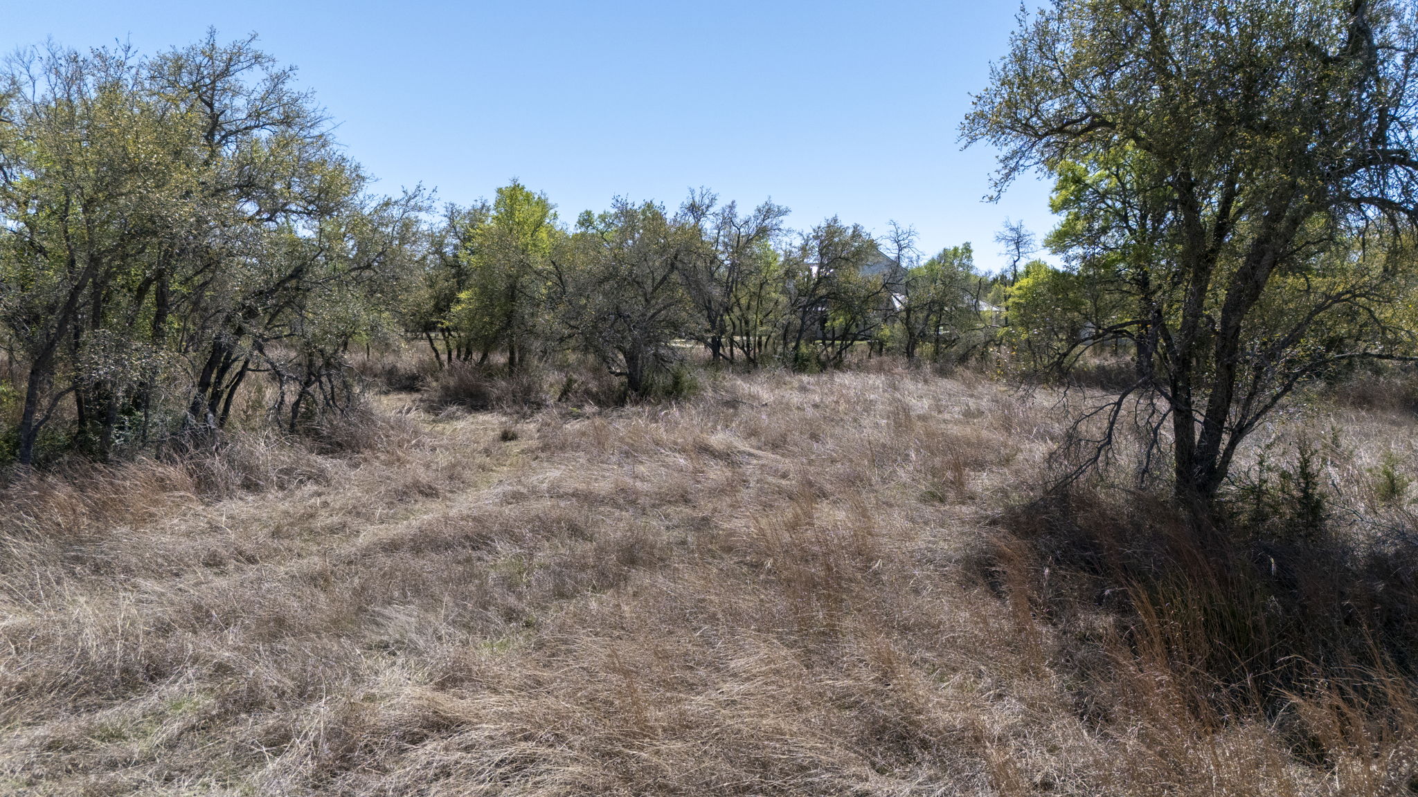 453 Nameless Road Driftwood, TX 78619 - Photo 29 of 35 a view of a yard with trees