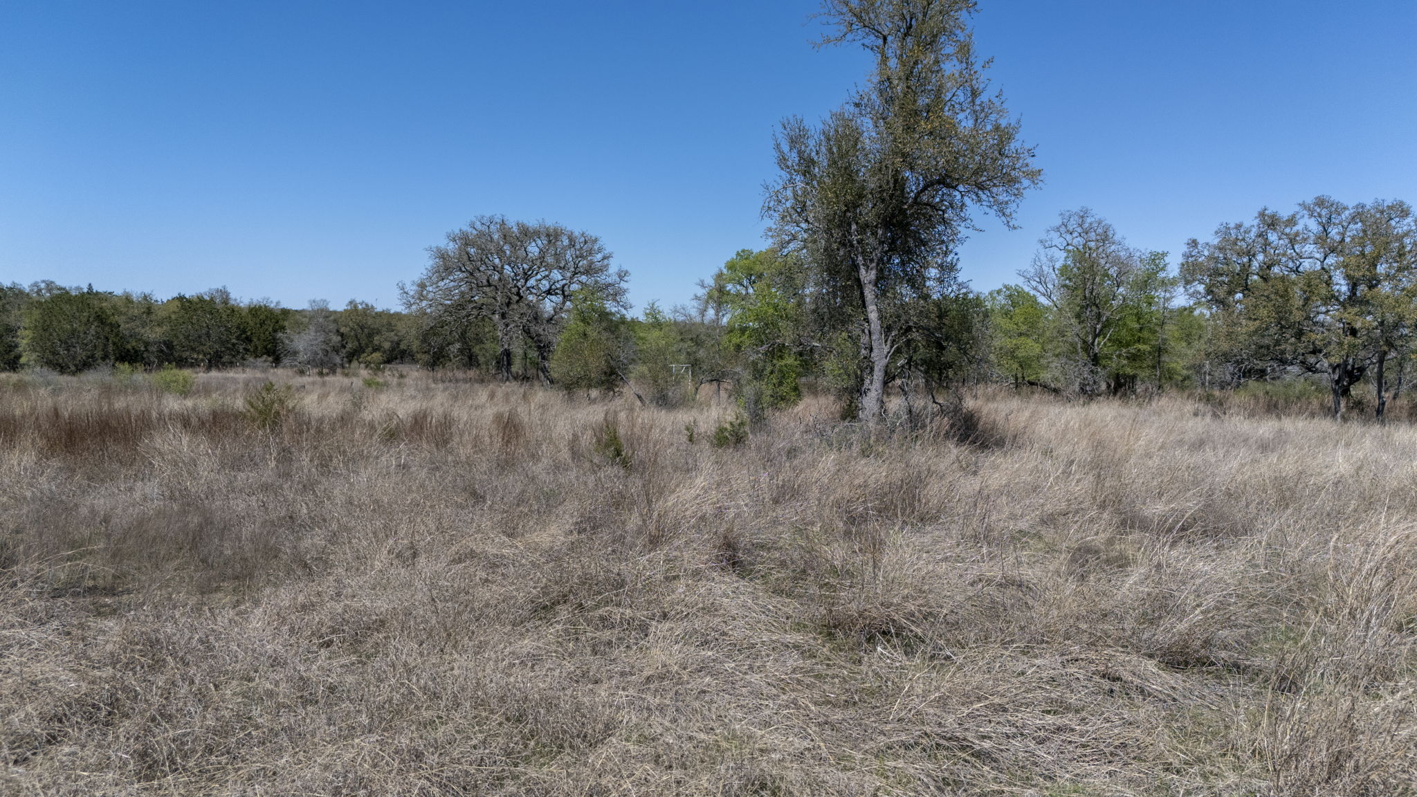 453 Nameless Road Driftwood, TX 78619 - Photo 31 of 35 a view of a lake with outdoor space
