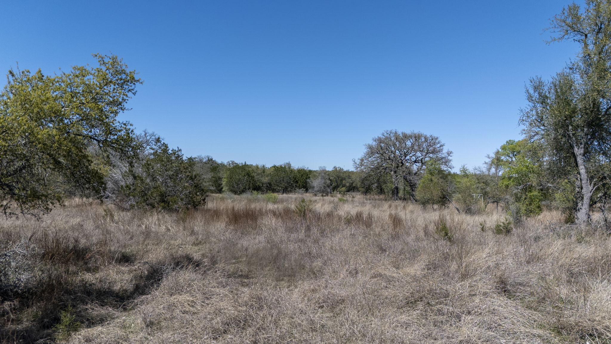 453 Nameless Road Driftwood, TX 78619 - Photo 32 of 35 a view of a lake with trees in the background