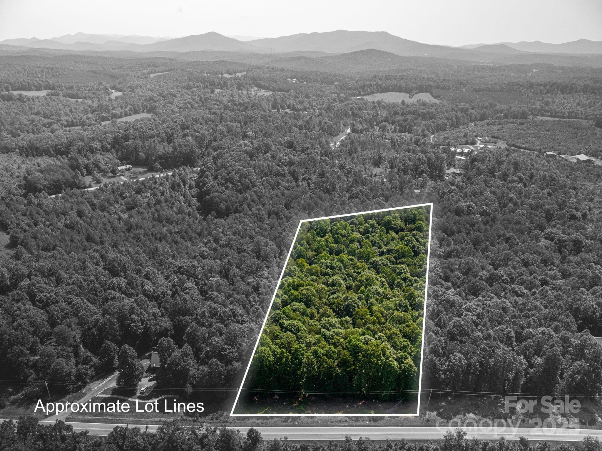 0 Boy Scout Road Rutherfordton, NC 28139 - Photo 3 of 12 a view of a yard