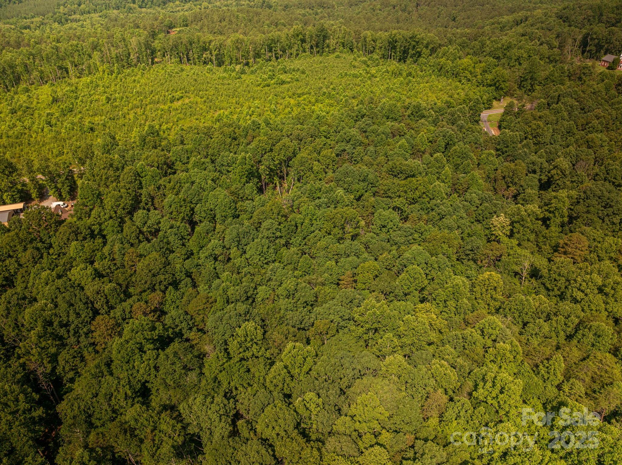 0 Boy Scout Road Rutherfordton, NC 28139 - Photo 4 of 12 a view of a big yard with large trees