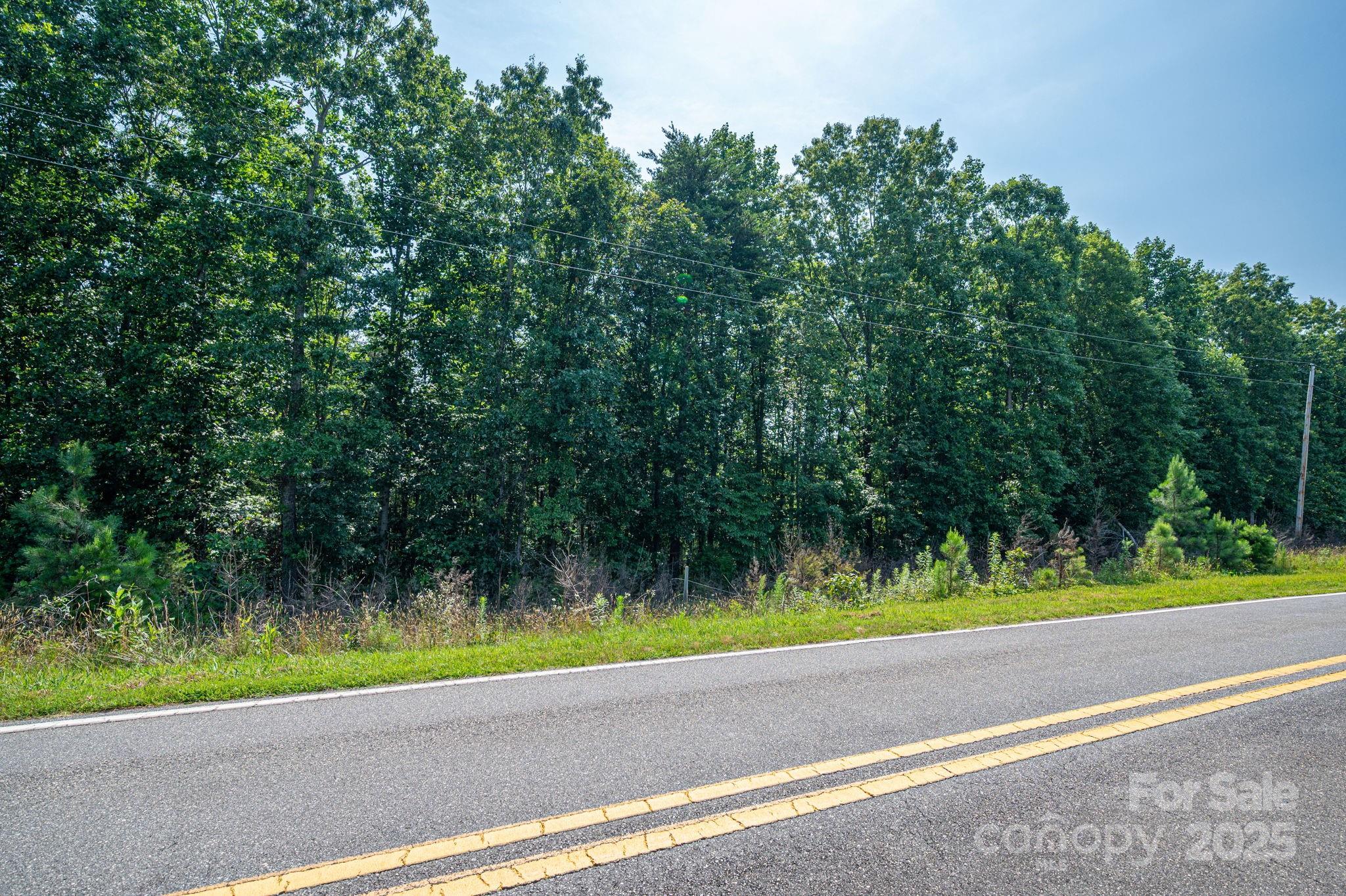 0 Boy Scout Road Rutherfordton, NC 28139 - Photo 7 of 12 a view of a yard and large trees