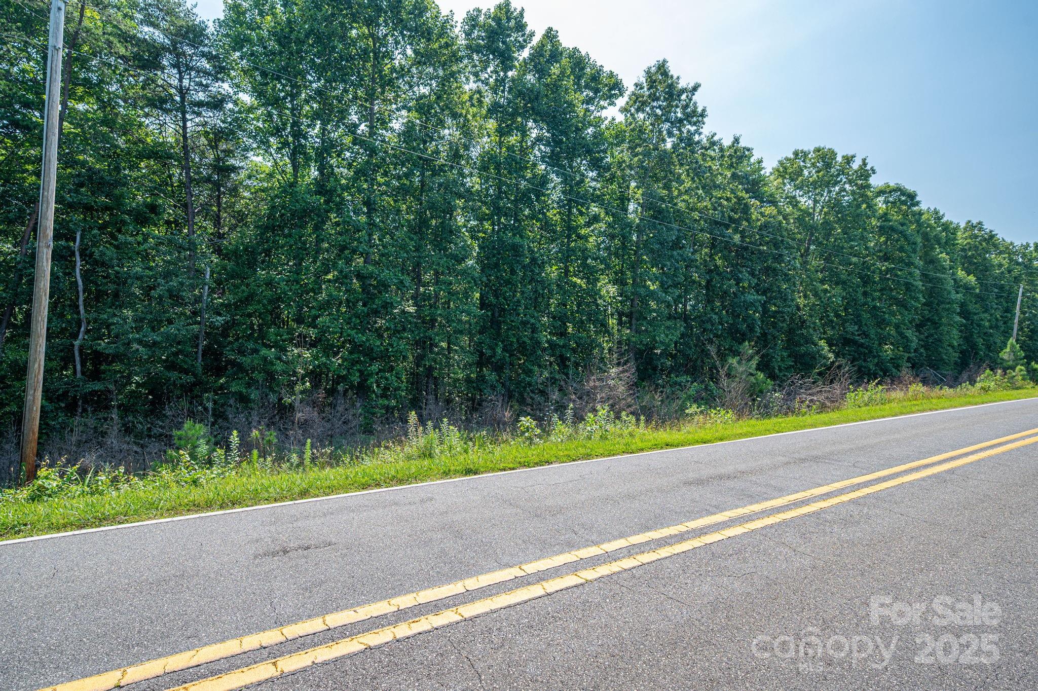0 Boy Scout Road Rutherfordton, NC 28139 - Photo 8 of 12 a view of backyard and swimming pool