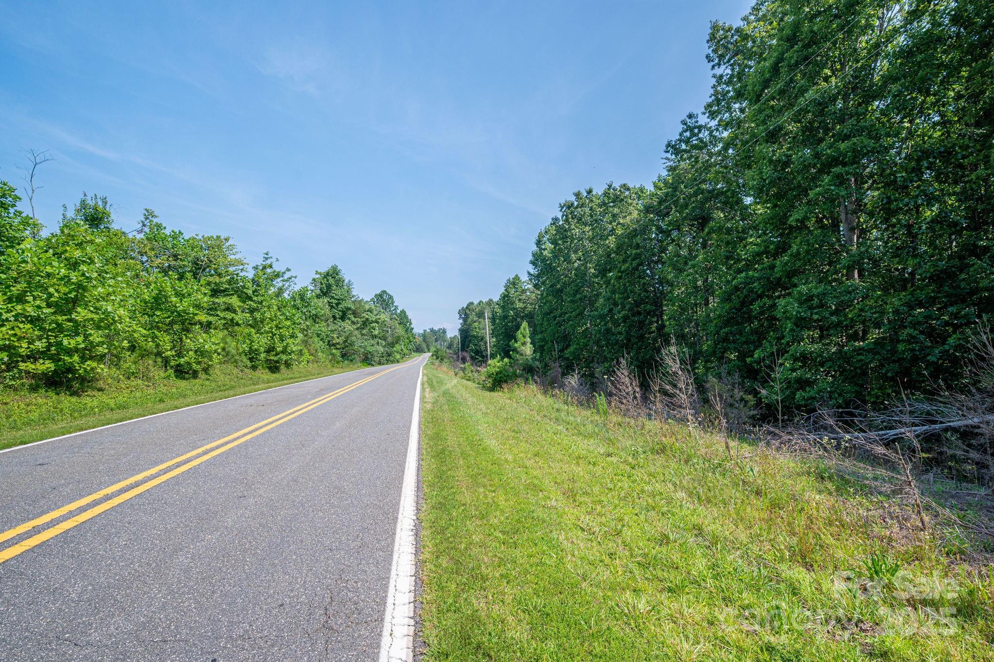 0 Boy Scout Road Rutherfordton, NC 28139 - Photo 9 of 12 a view of a yard with plants and a trees