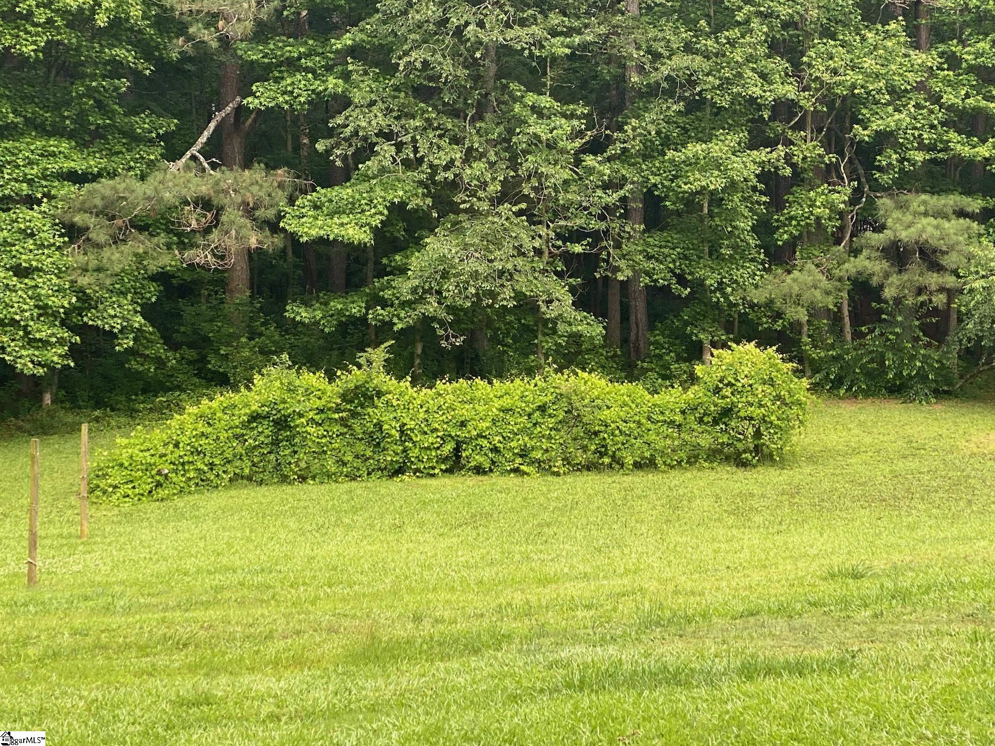 2231 Lisbon Road Mountville, SC 29370 - Photo 8 of 23 Gallery Image 8