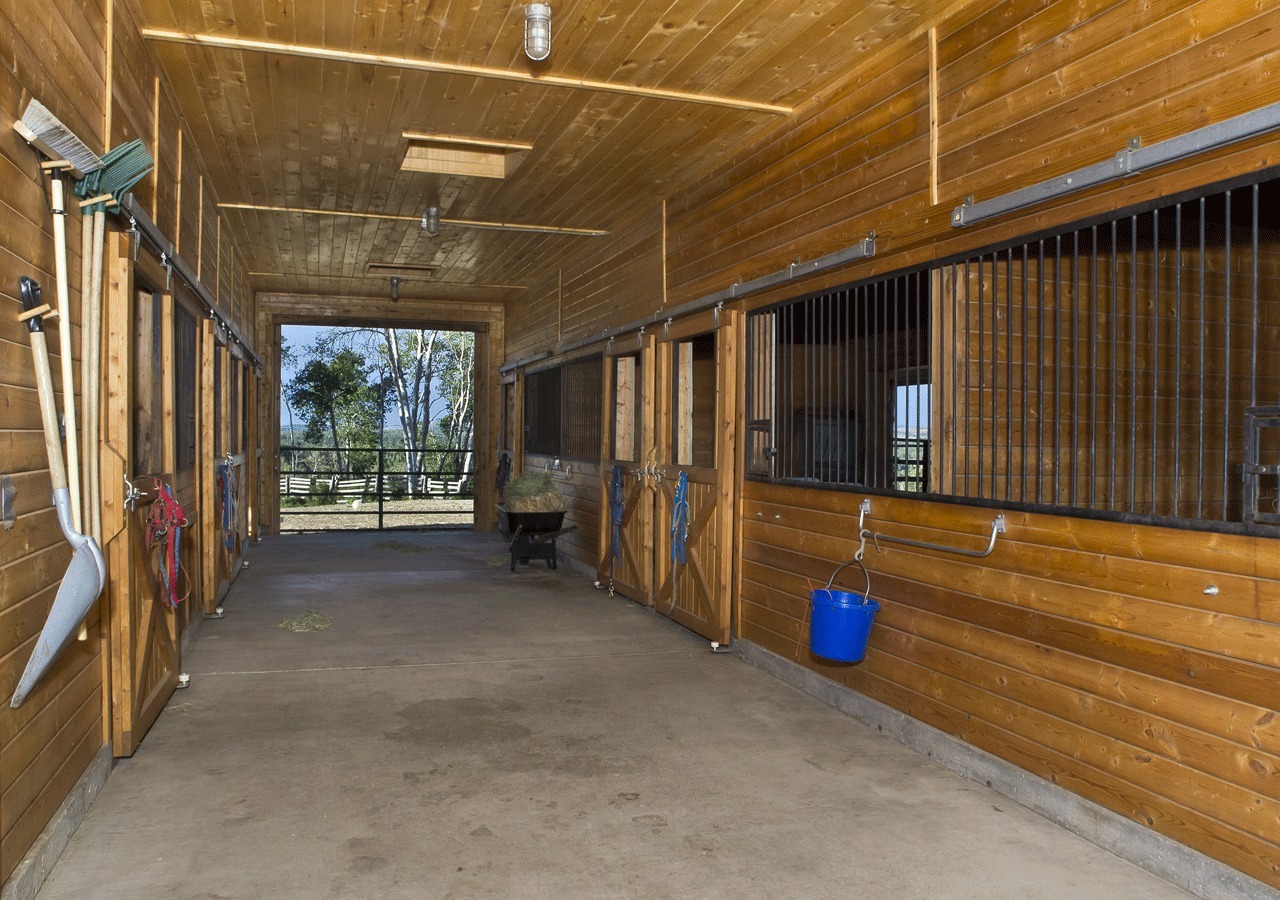 1725 McKenzie Springs Road Placerville, CO 81430 - Photo 16 of 19 Barn Interior