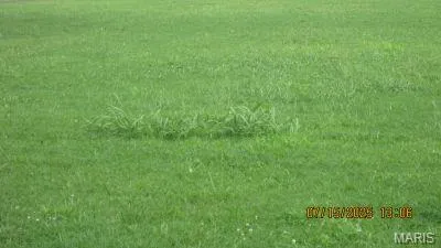 $195,000 | 116 Hospitality Drive, Sikeston, MO 63801