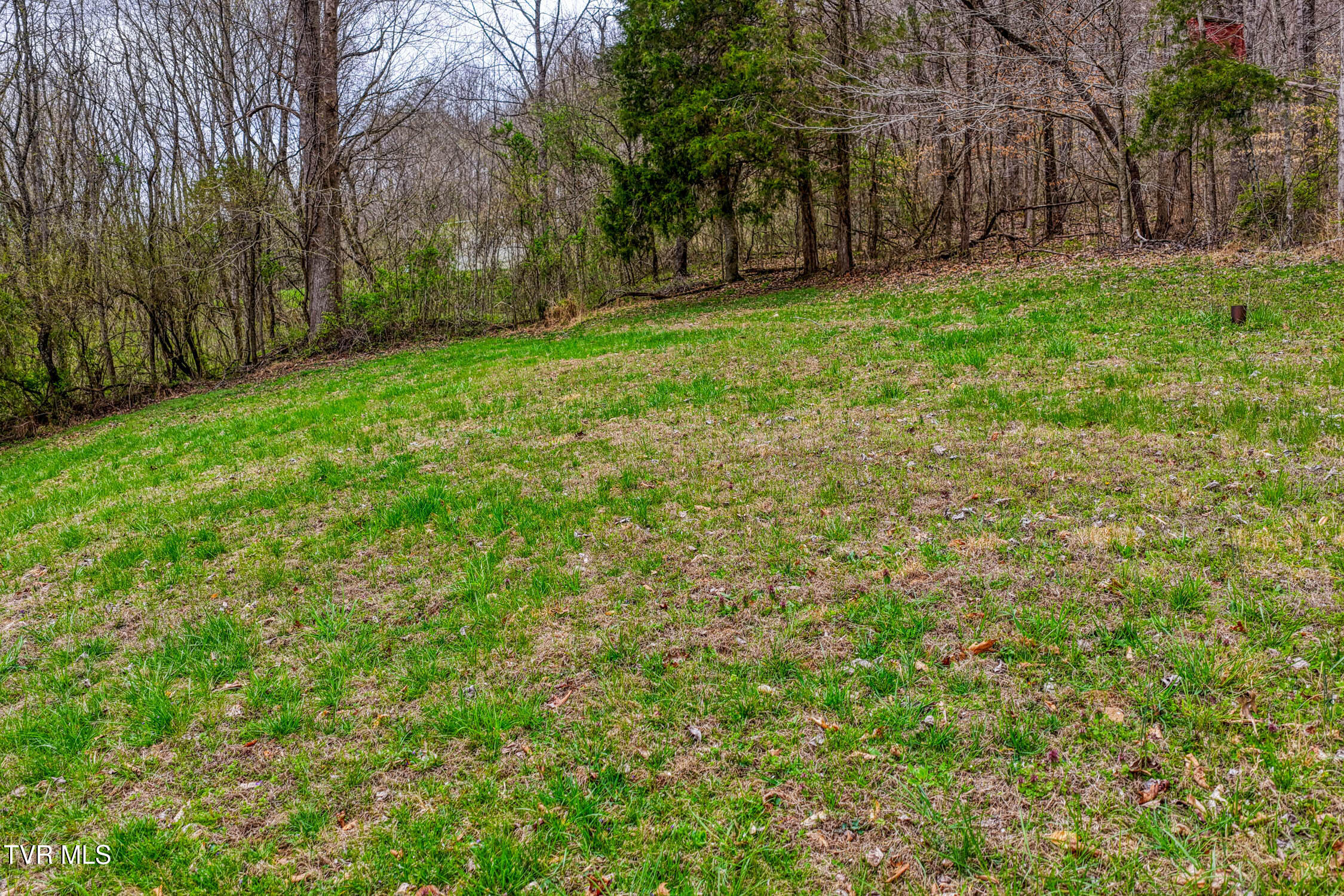 1744 Snake Hollow Road Sneedville, TN 37869 - Photo 44 of 50 1744 Snake Hollow. Sneedv MLSa (15 of 2