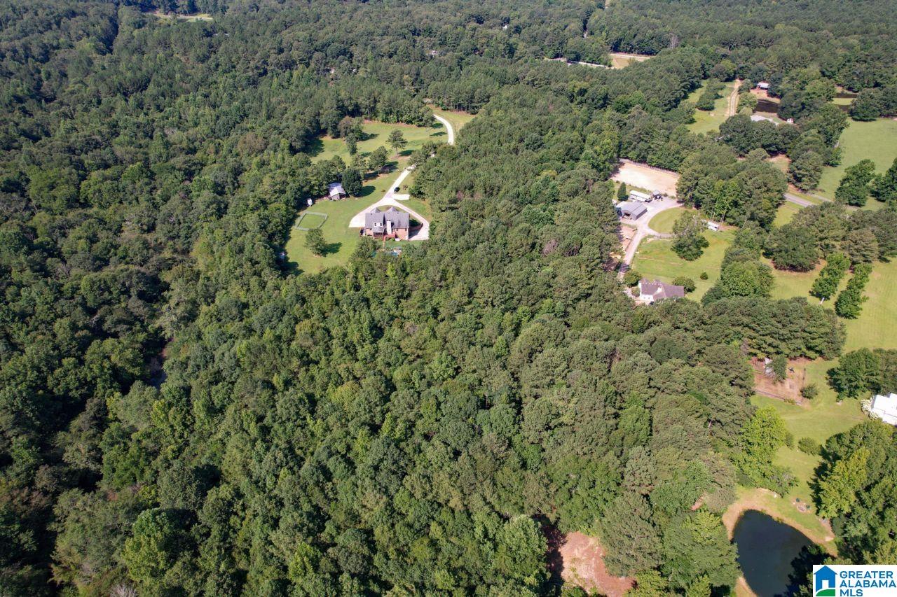 2370 Murphrees Valley Road Springville, AL 35146 - Photo 83 of 86