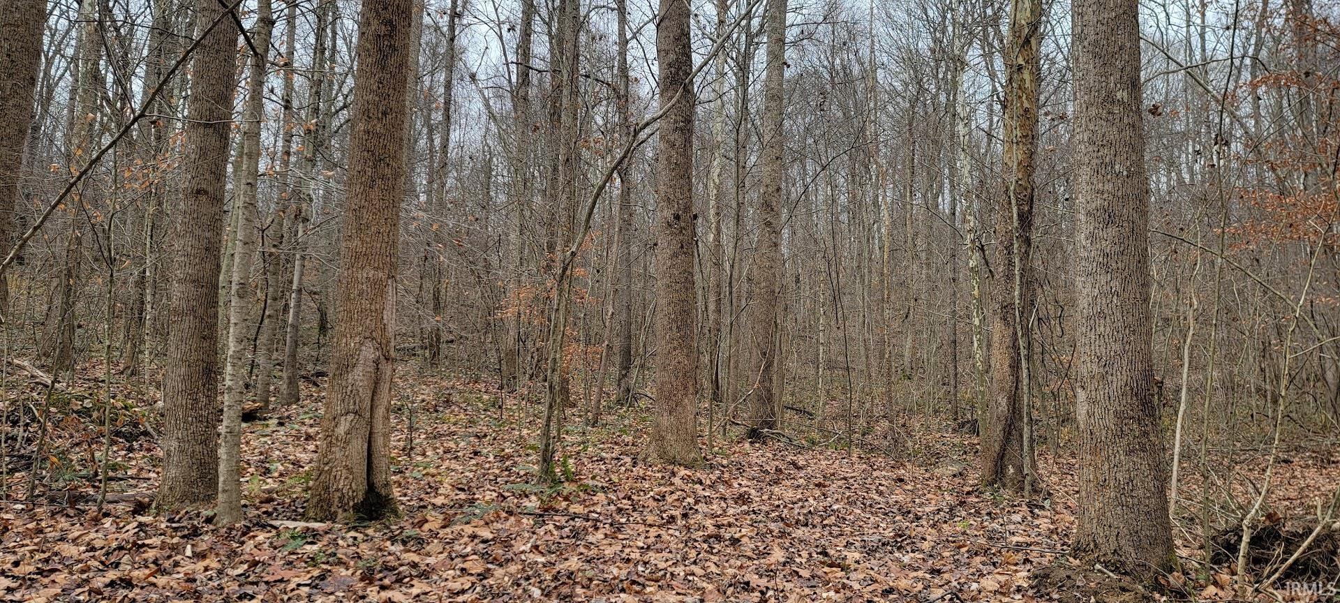 62.2-acres Blanton Road Mitchell, IN 47446 - Photo 14 of 31