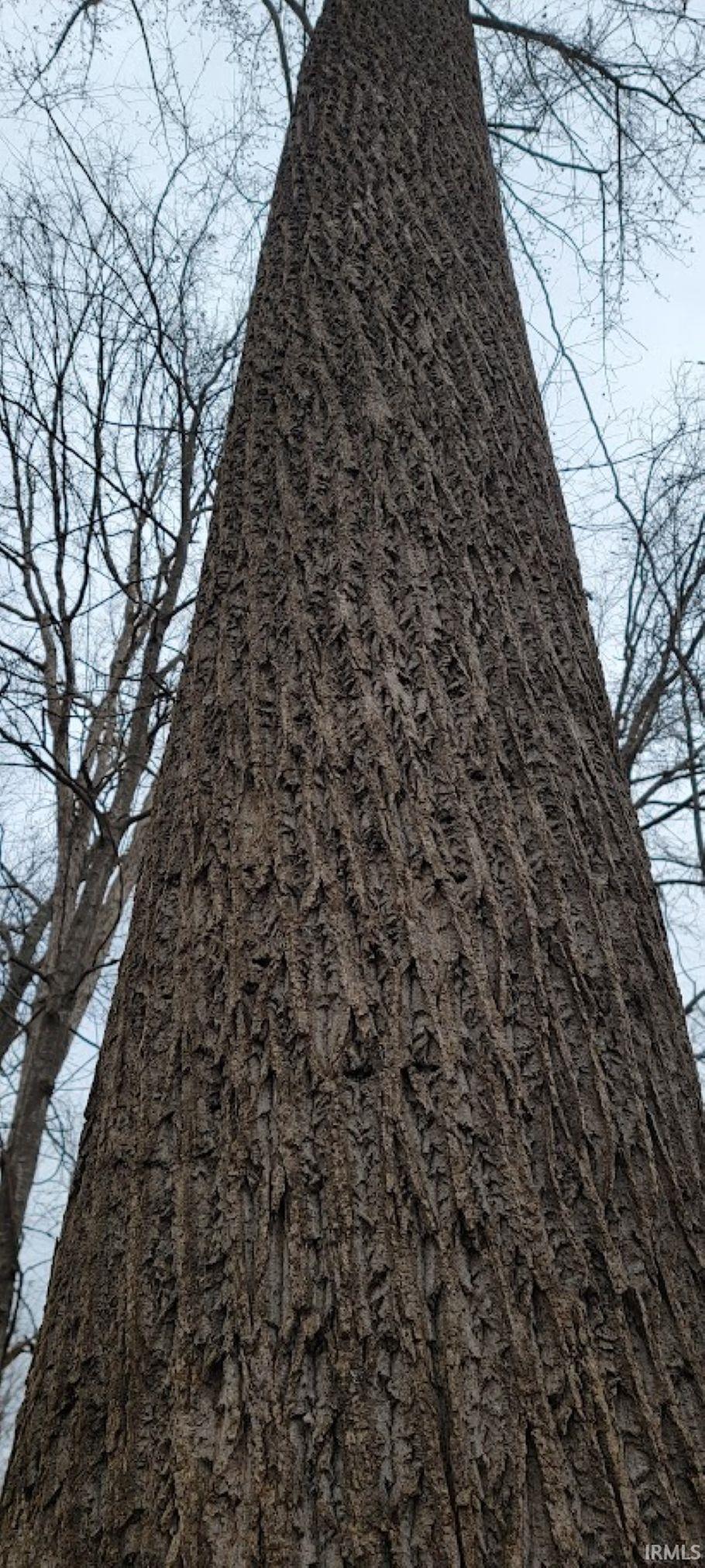 62.2-acres Blanton Road Mitchell, IN 47446 - Photo 16 of 31