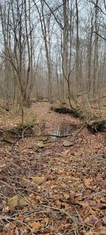 $325,000 | 62.2-acres Blanton Road, Mitchell, IN 47446