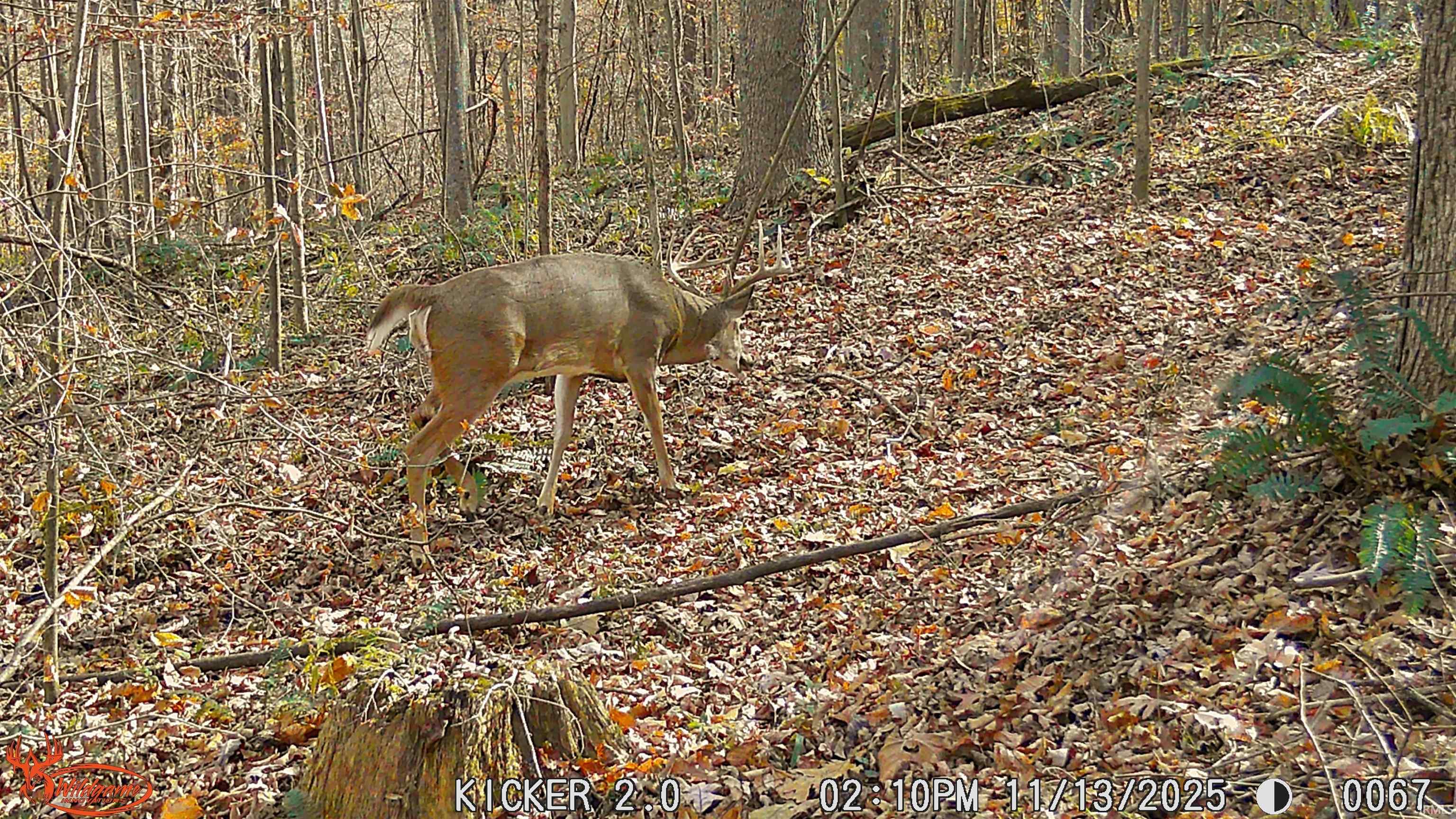 62.2-acres Blanton Road Mitchell, IN 47446 - Photo 18 of 31
