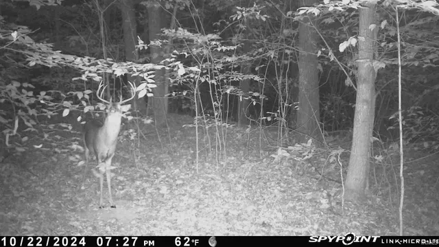 $325,000 | 62.2-acres Blanton Road, Mitchell, IN 47446