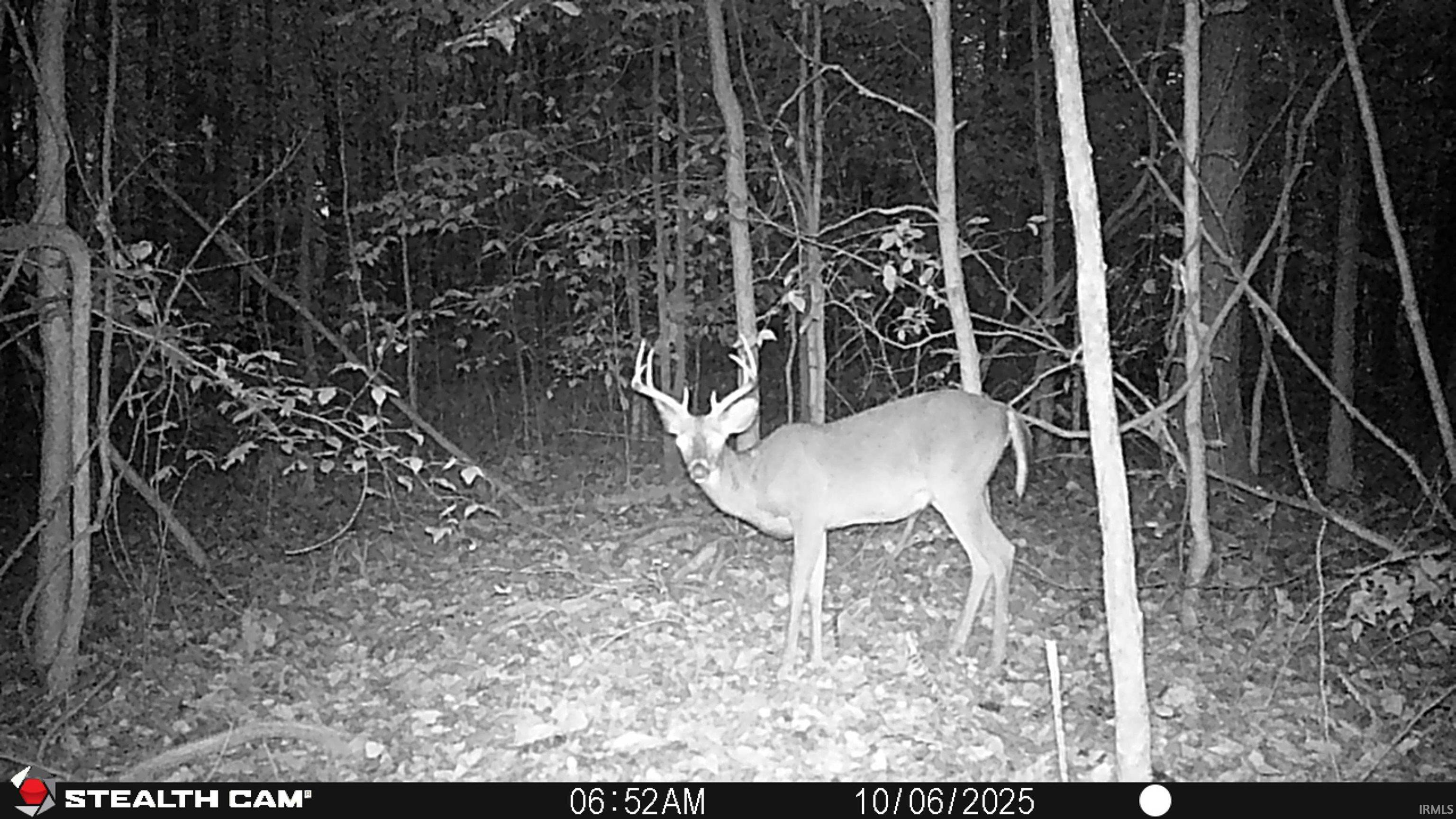 62.2-acres Blanton Road Mitchell, IN 47446 - Photo 21 of 31