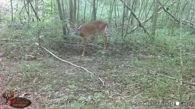 $325,000 | 62.2-acres Blanton Road, Mitchell, IN 47446