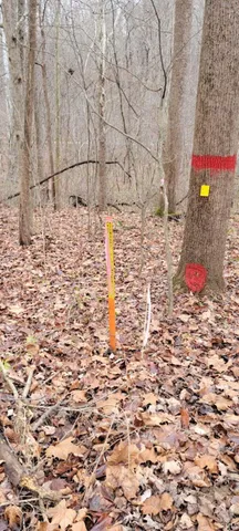 $325,000 | 62.2-acres Blanton Road, Mitchell, IN 47446