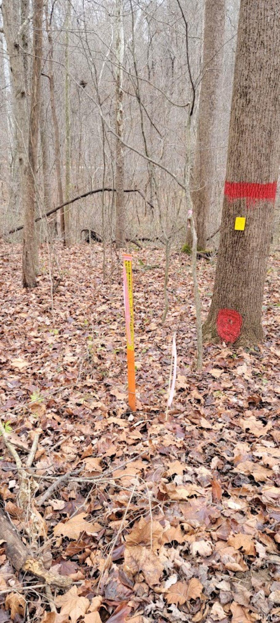 62.2-acres Blanton Road Mitchell, IN 47446 - Photo 23 of 31