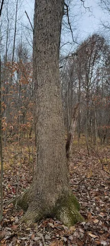 $325,000 | 62.2-acres Blanton Road, Mitchell, IN 47446