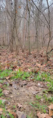 $325,000 | 62.2-acres Blanton Road, Mitchell, IN 47446