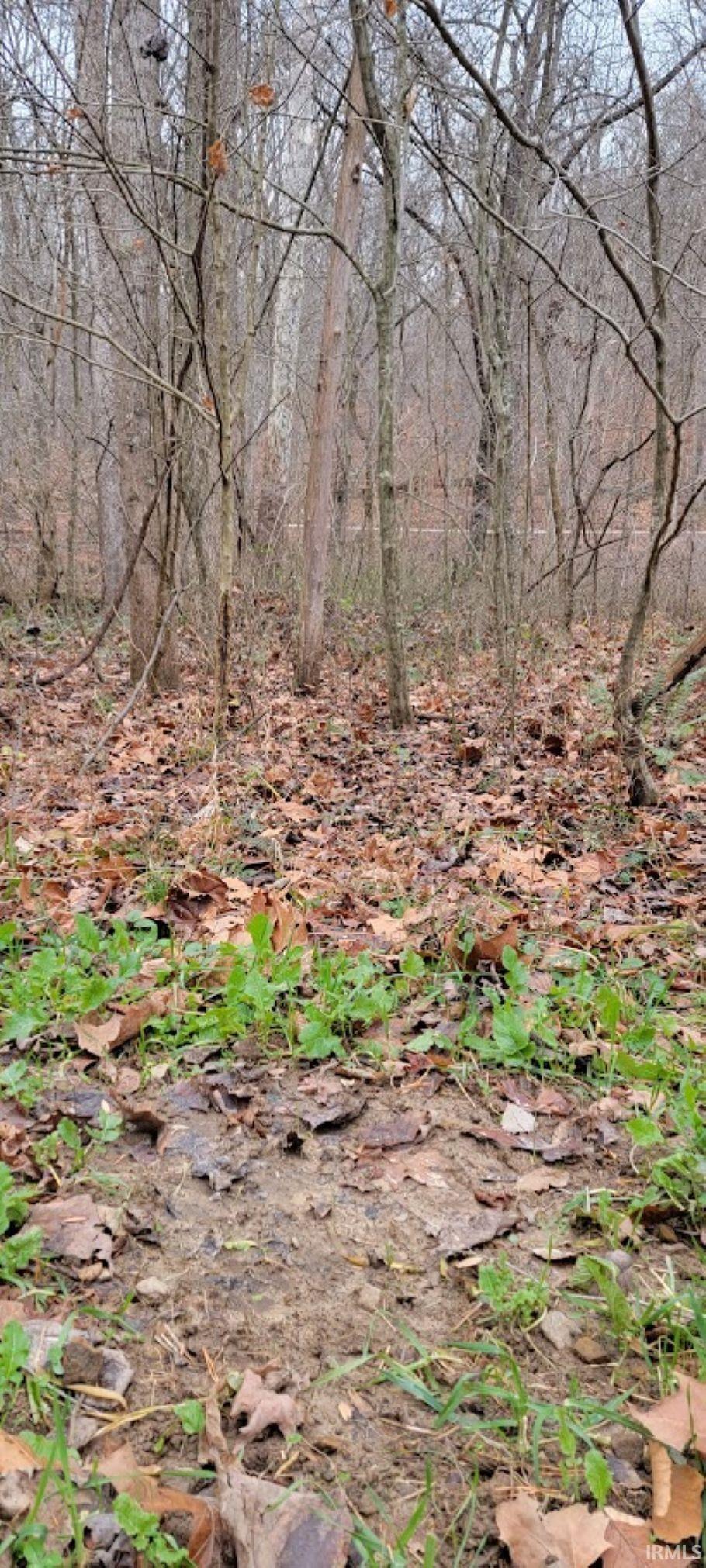 62.2-acres Blanton Road Mitchell, IN 47446 - Photo 4 of 31