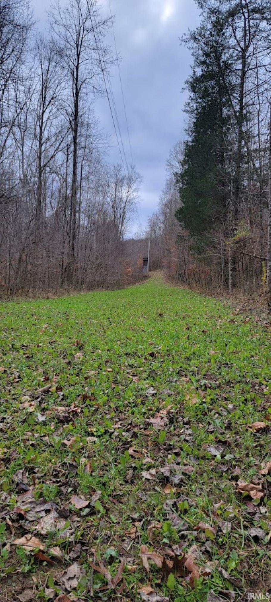 62.2-acres Blanton Road Mitchell, IN 47446 - Photo 5 of 31