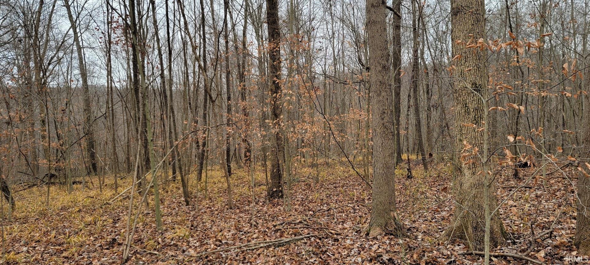 62.2-acres Blanton Road Mitchell, IN 47446 - Photo 6 of 31