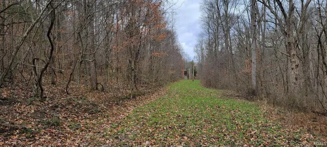 $325,000 | 62.2-acres Blanton Road, Mitchell, IN 47446