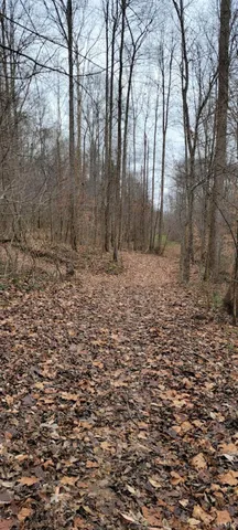 $325,000 | 62.2-acres Blanton Road, Mitchell, IN 47446