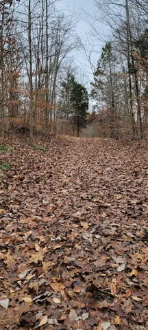 $325,000 | 62.2-acres Blanton Road, Mitchell, IN 47446