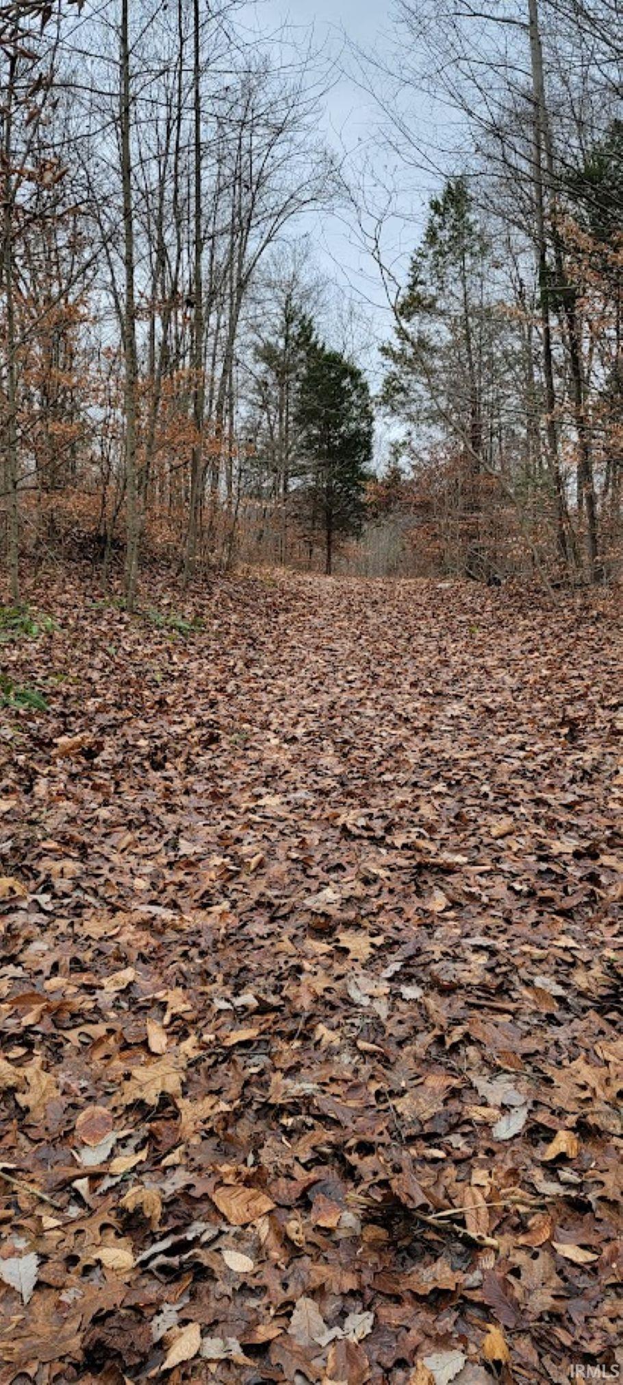 62.2-acres Blanton Road Mitchell, IN 47446 - Photo 9 of 31