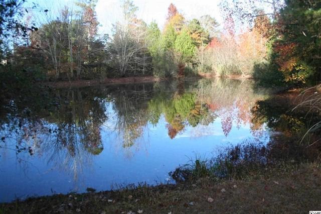 4955 Murray Johnson Road Conway, SC 29526 - Photo 4 of 15 Gallery Image 4