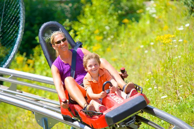 $79,500 | 368-370 Qtr I V Jackson Gore Inn, Ludlow, VT 05149