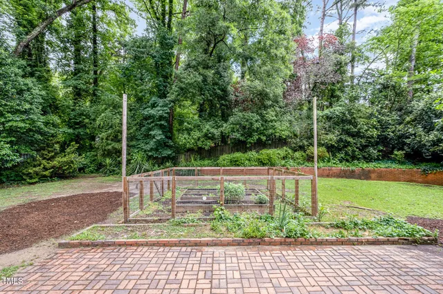 a view of a park with large trees