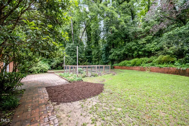 a view of a backyard