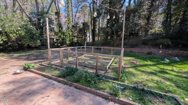 a view of a park with large trees