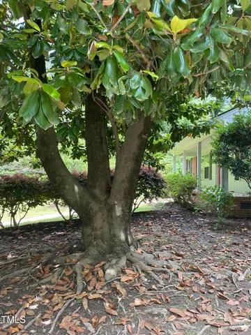 a backyard of a house with lots of green space and trees