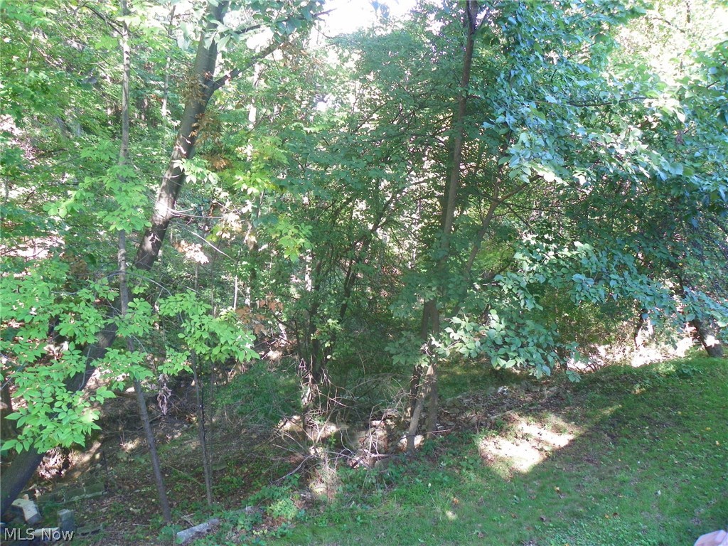 7716 Ridge Road Cleveland, OH 44129 - Photo 14 of 29 Gallery Image 14