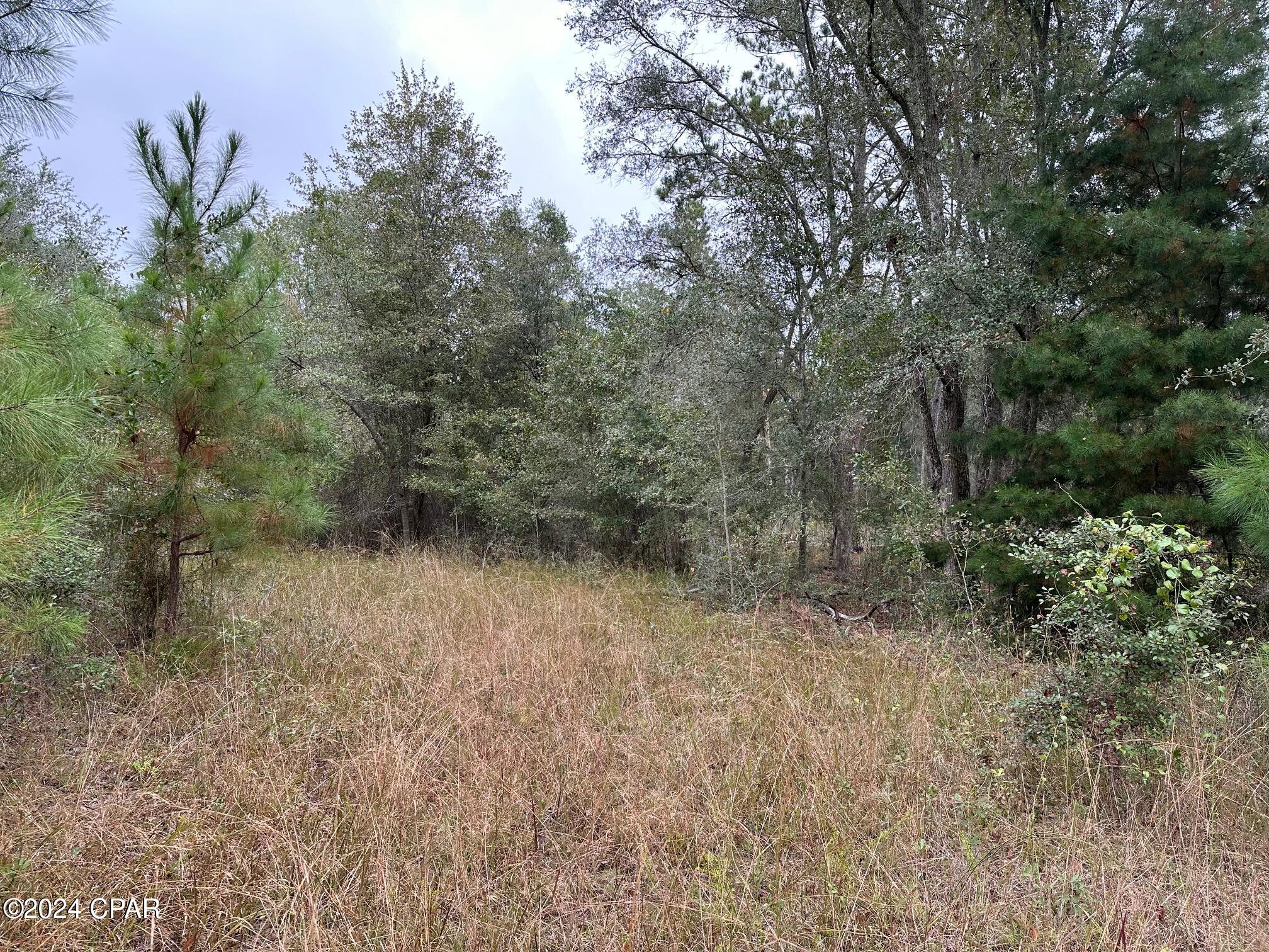 0 Baxter Road Malone, FL 32445 - Photo 11 of 11 Gallery Image 11