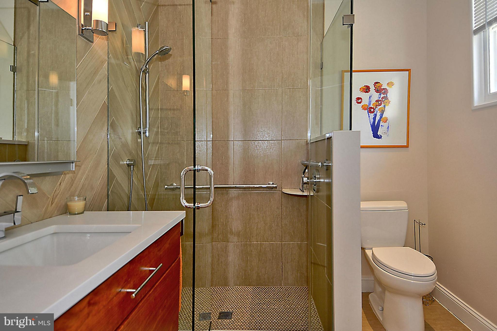 7220 Blair Road Northwest Washington, DC 20012 - Photo 17 of 30 Bath (Master)