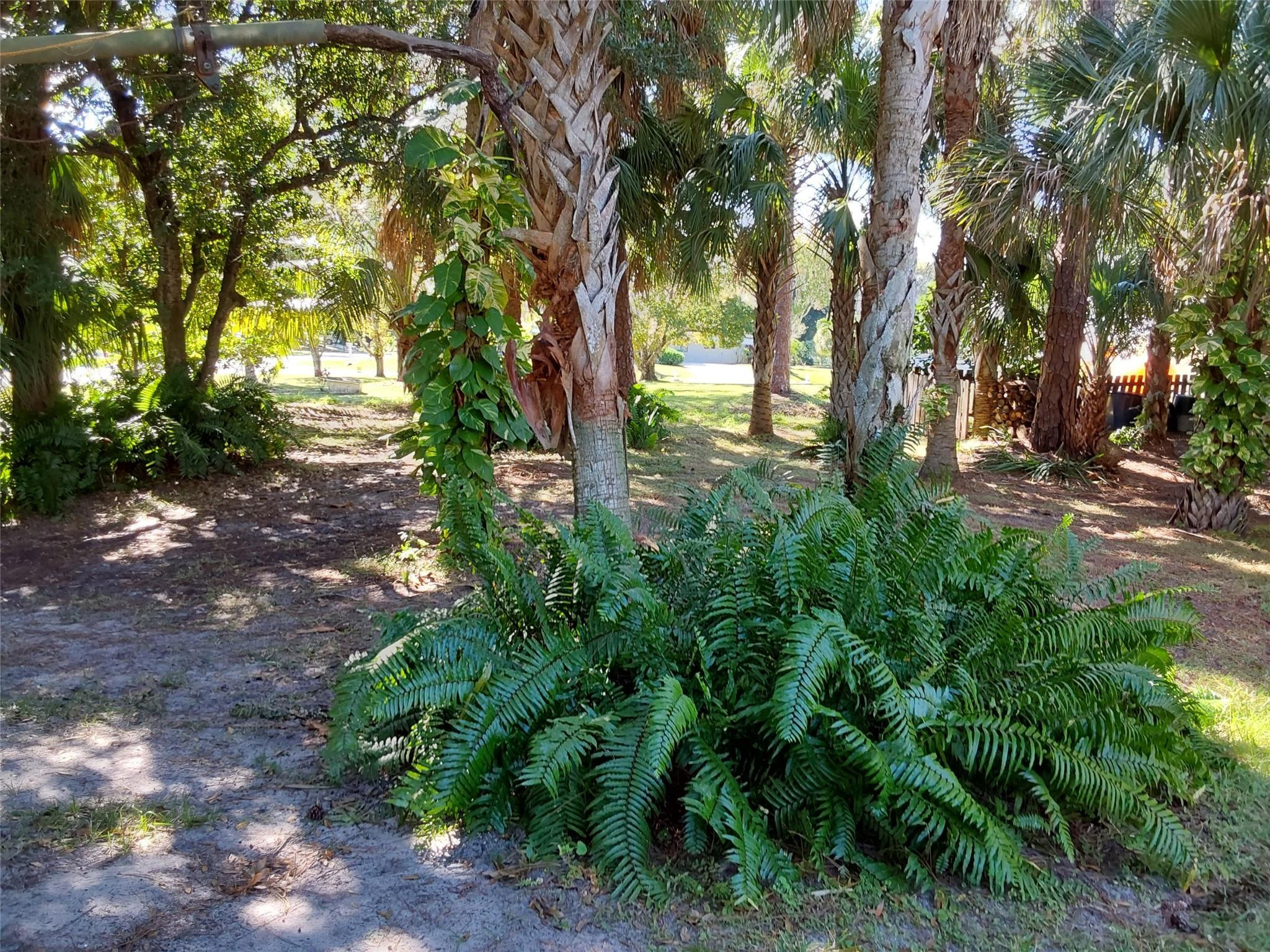 722 Wentworth Street Sebastian, FL 32958 - Photo 14 of 16 a view of backyard with green space