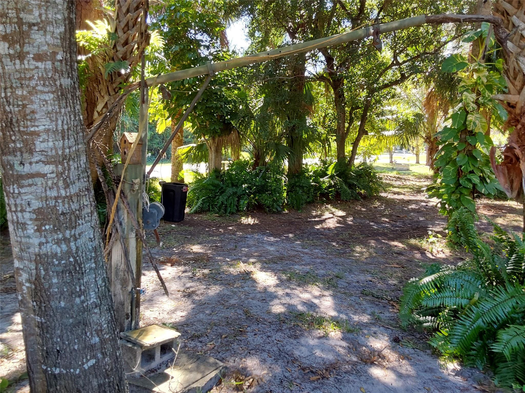 722 Wentworth Street Sebastian, FL 32958 - Photo 15 of 16 a view of a forest with trees