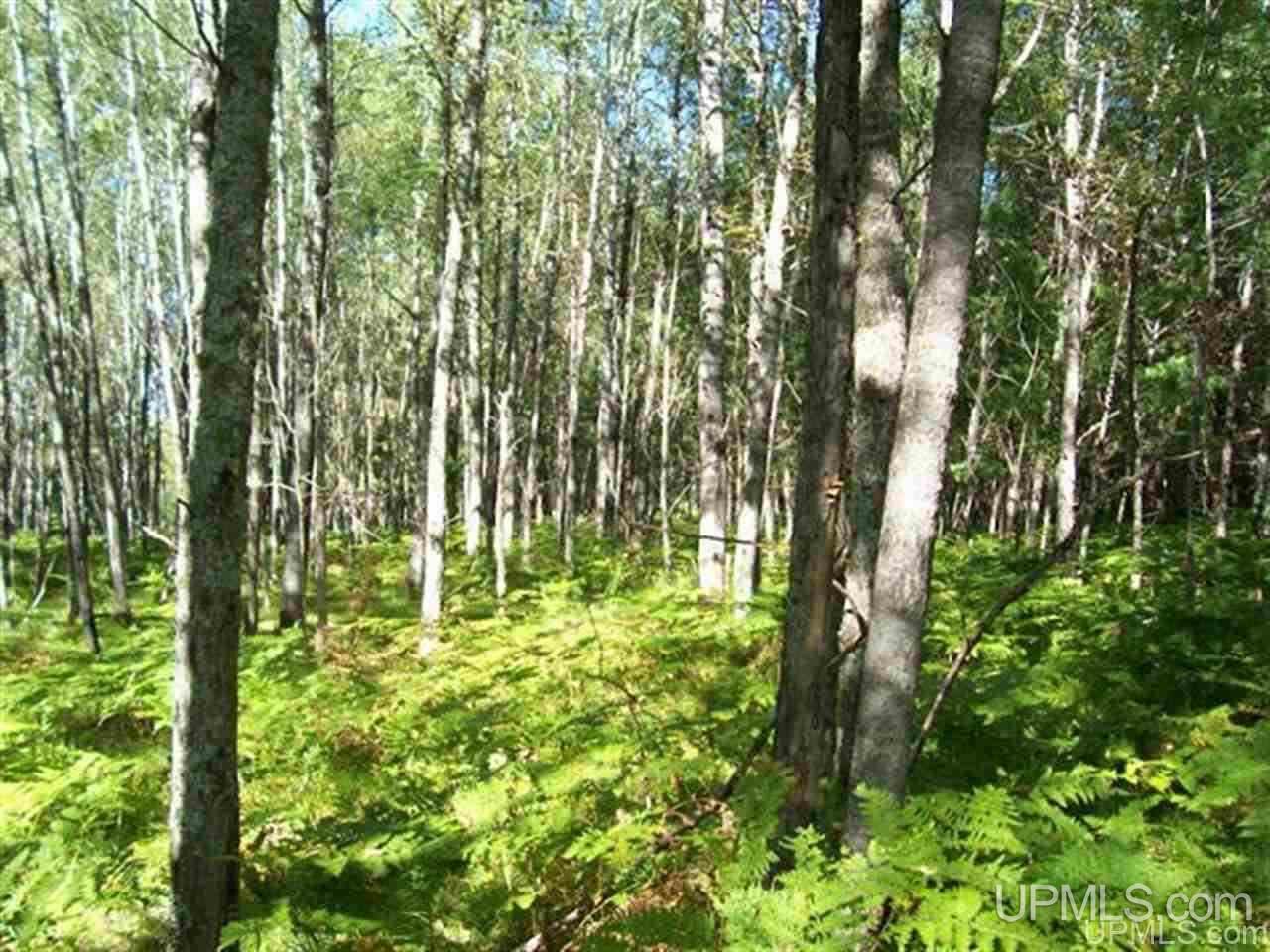 Tbd West Tbd W Merriman Road, Unit PARCEL 3 Iron Mountain, MI 49801 - Photo 4 of 4