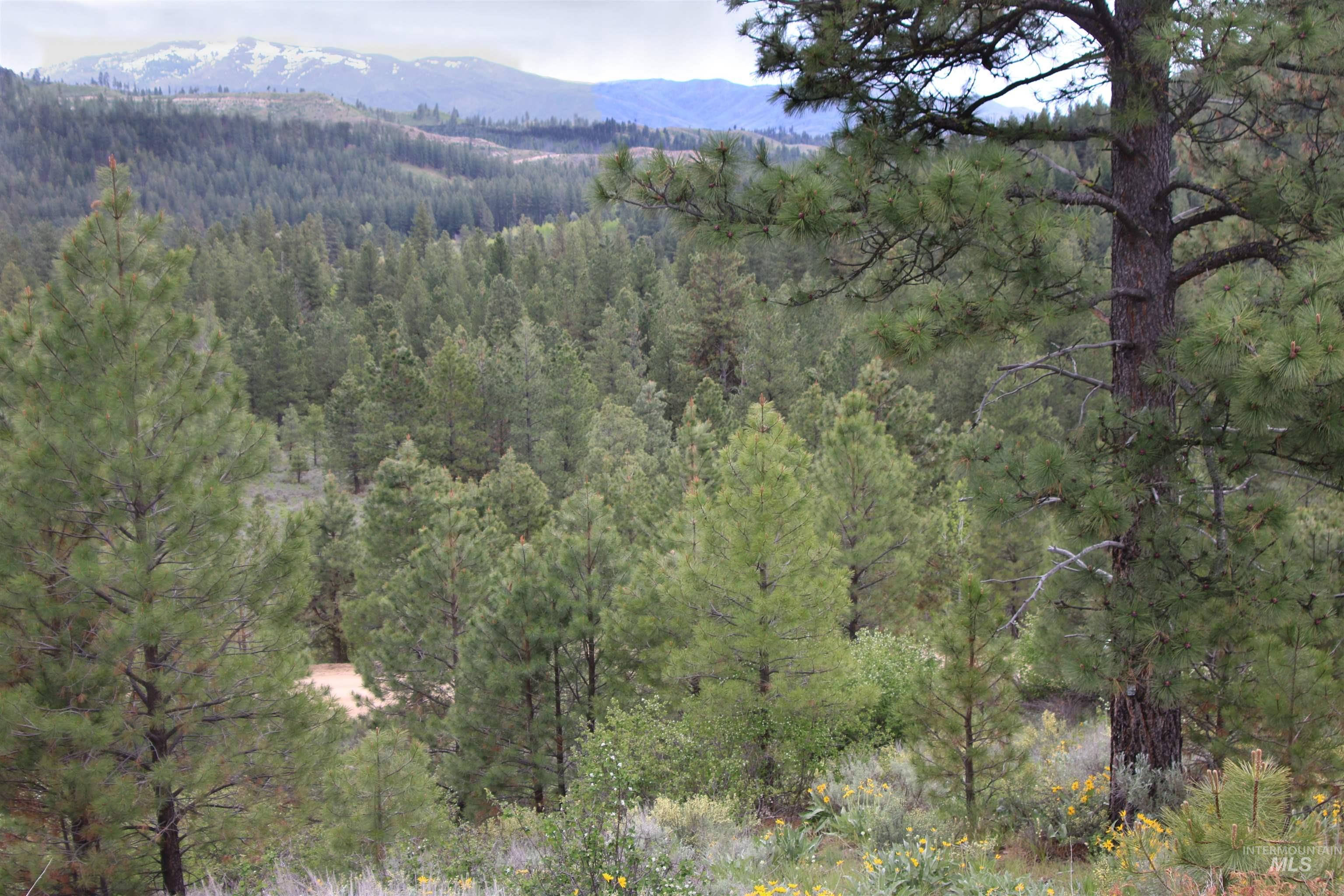 Tbd Strawberry Loop Mountain Home, ID 83647 - Photo 16 of 20