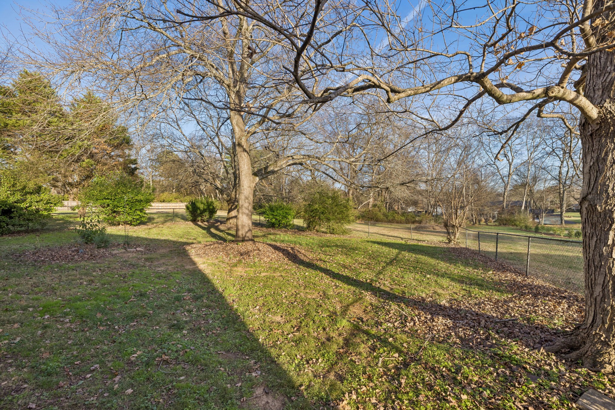 2234 Isaac Lane Franklin, TN 37064 - Photo 71 of 92 a view of a yard with large trees