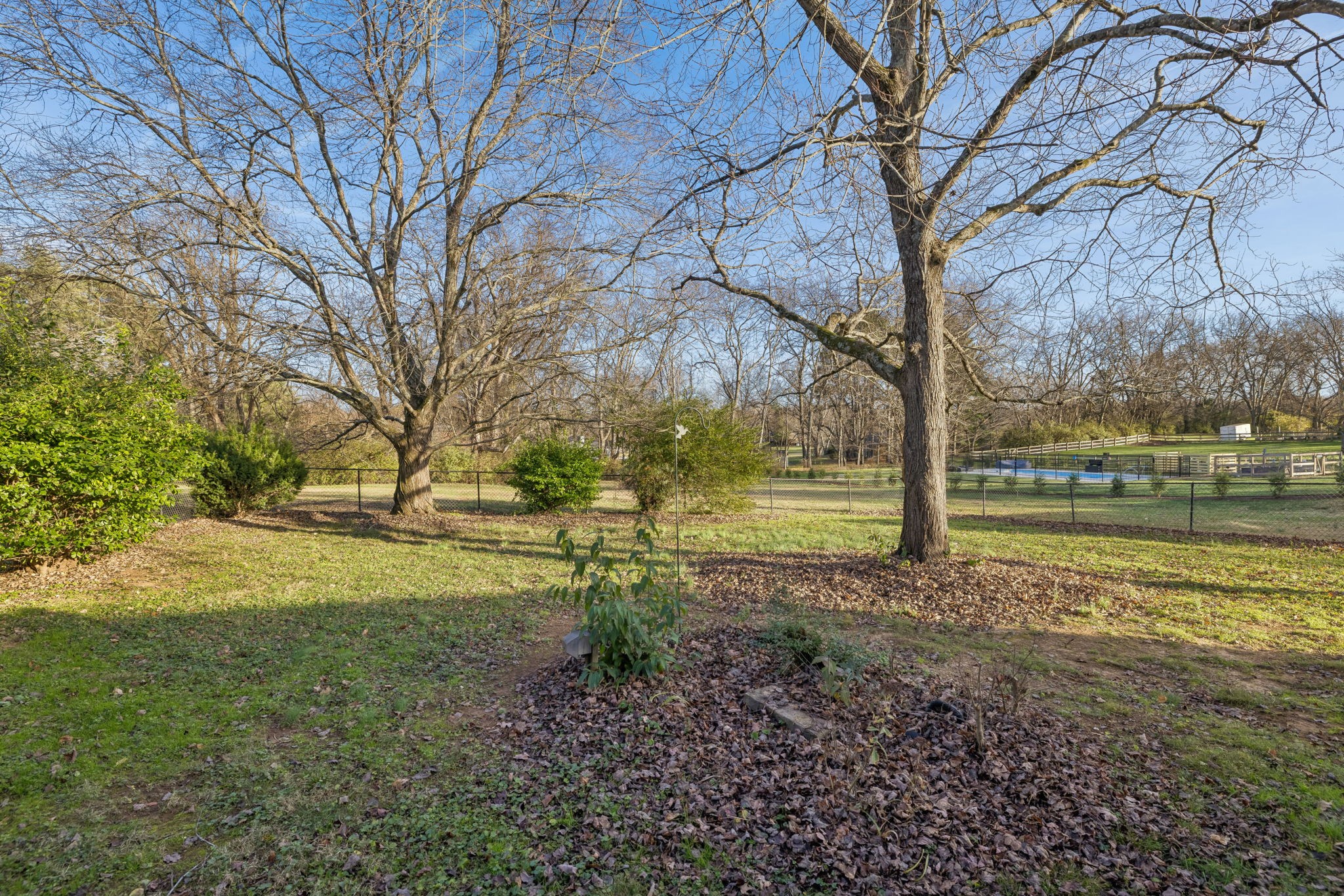 2234 Isaac Lane Franklin, TN 37064 - Photo 73 of 92 a view of a yard with a tree