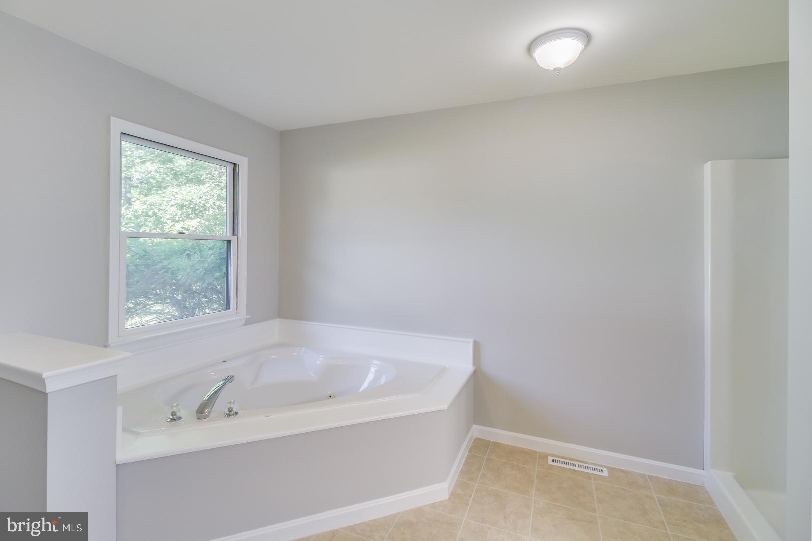 767 Judith Road Hartly, DE 19953 - Photo 19 of 34 Whirlpool corner tub