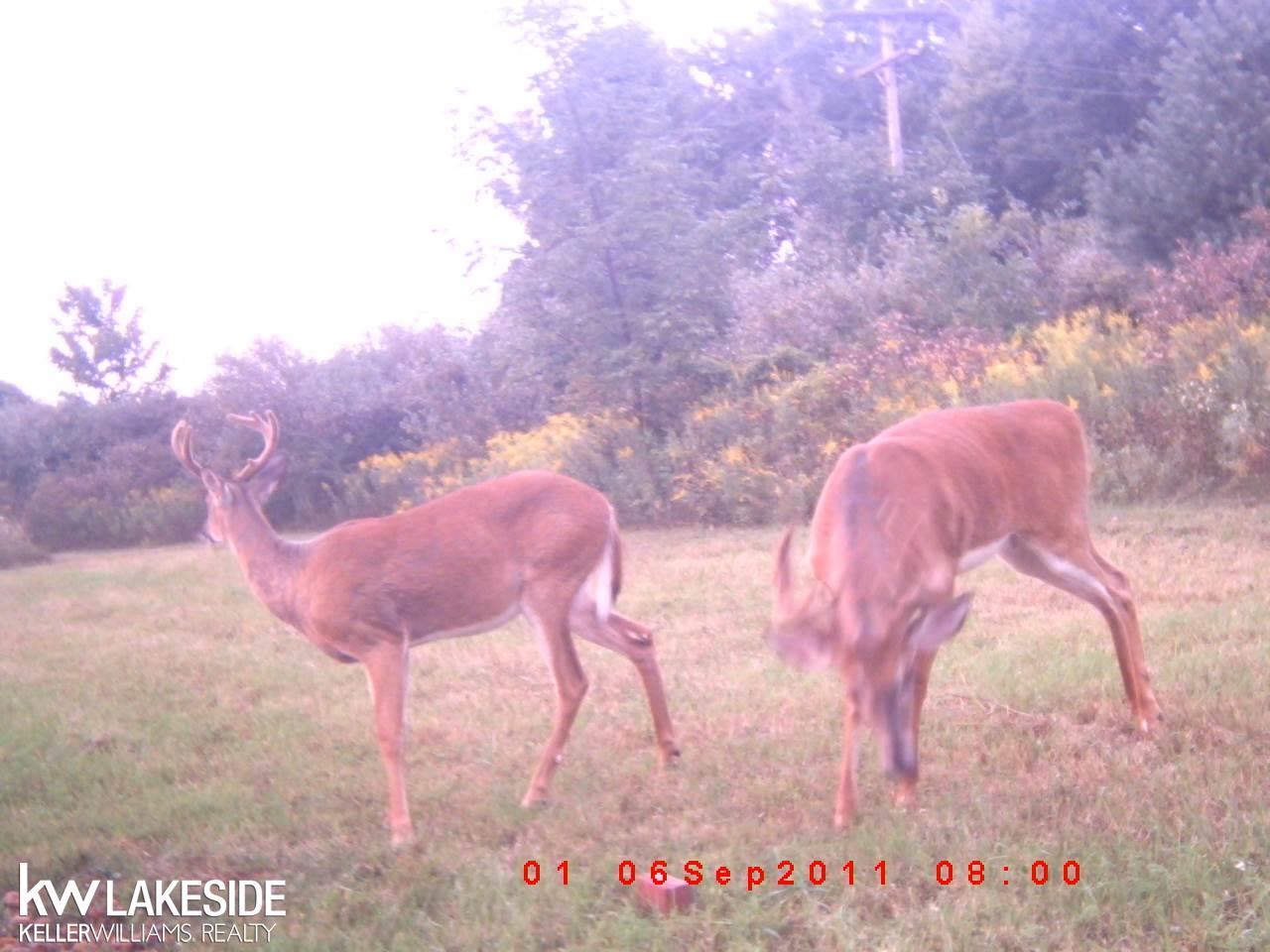 9977 Big Hand Road Columbus, MI 48063 - Photo 30 of 39 31395514-35.JPG