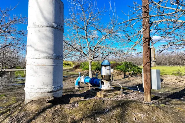 a view of a chairs and table in backyard