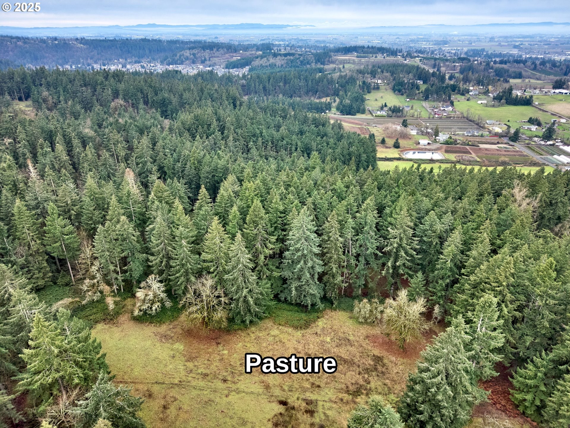 5225 Forest Ridge Road Northeast Silverton, OR 97381 - Photo 29 of 35 Gallery Image 29